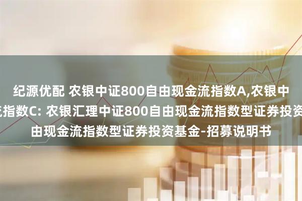 纪源优配 农银中证800自由现金流指数A,农银中证800自由现金流指数C: 农银汇理中证800自由现金流指数型证券投资基金-招募说明书