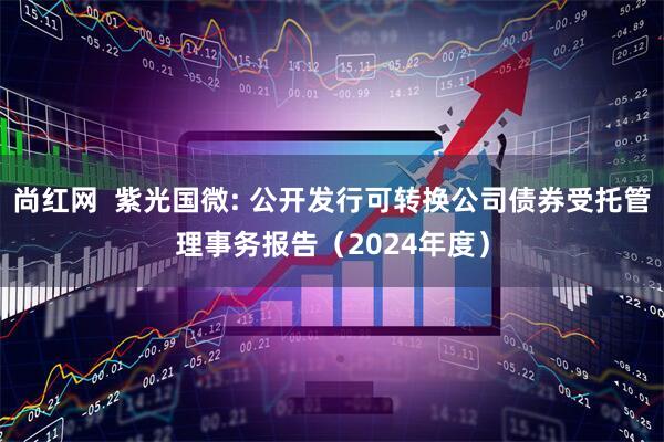 尚红网  紫光国微: 公开发行可转换公司债券受托管理事务报告（2024年度）